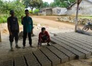 TMMD Reg Ke-127 Kodim 1015/Sampit Belajar Membuat Batako Secara Manual