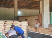 Anggota Satgas TMMD Reg Ke-127 Langsir Matrial Semen Bersama Masyarakat