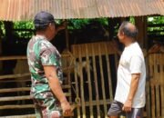 Satgas TMMD Reguler ke-127 Kodim 1015/Sampit Komsos Dengan Sutarman Peternak Kambing Desa Tri Buana