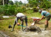 RTLH Milik Ibu Tuminah Dicor Lantai Oleh Satgas TMMD ke-127 Kodim 1015/Sampit