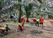 Perakitan Besi Berlanjut, Siap Untuk Pengecoran Tiang Pancang