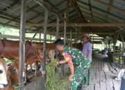 Kampung Pancasila Jadi Wadah Persatuan, Babinsa Kodim 1015-03/Mentawa Baru Ketapang Aktif Bangun Komunikasi dengan Warga