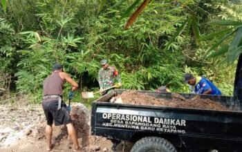 Akses Jalan Rusak, Babinsa Koramil 1015-03/Mentawa Baru Ketapang Bersama Warga Gotong Royong Perbaiki Jalan