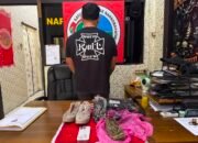 Sat Reserse Narkoba Polres Kotawaringin Timur Ungkap Tindak Pidana Narkotika, Terlapor HK 29 Th, Barbuk 77 Gram Ganja.