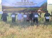 Kapolres Kotim Hadiri Panen Raya Padi Binaan TNI AD di Desa Lempuyang Kecamatan Teluk Sampit
